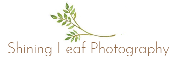 Shining Leaf Photography